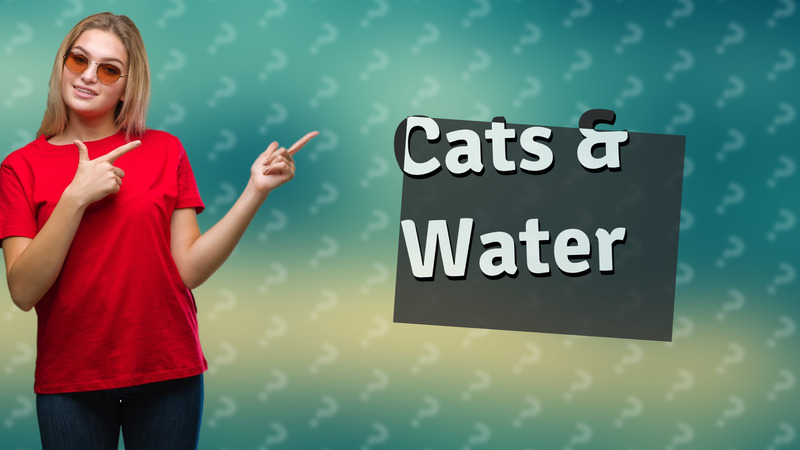 Cats & Water