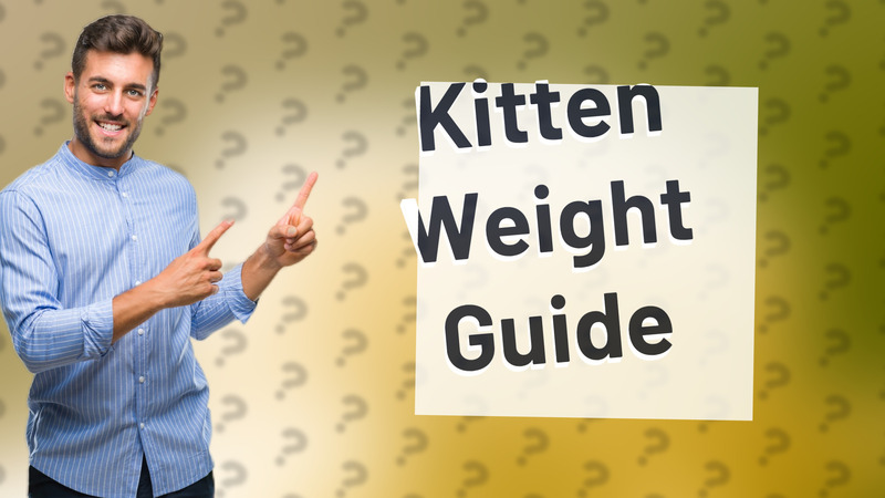 Kitten Weight Guide