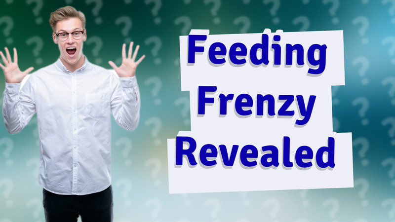 Feeding Frenzy Revealed