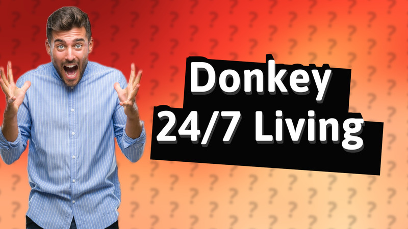 Donkey 24/7 Living