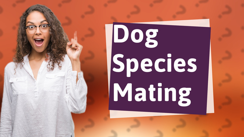 Dog Species Mating