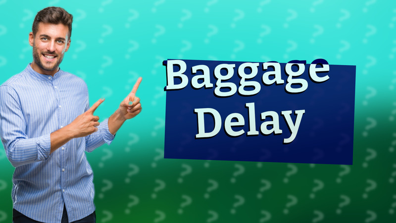 Baggage Delay