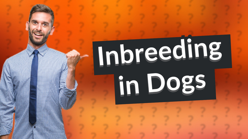 Inbreeding in Dogs