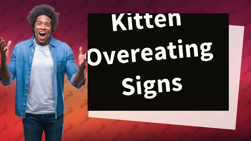 Kitten Overeating Signs