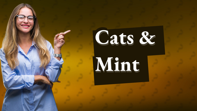 Cats & Mint