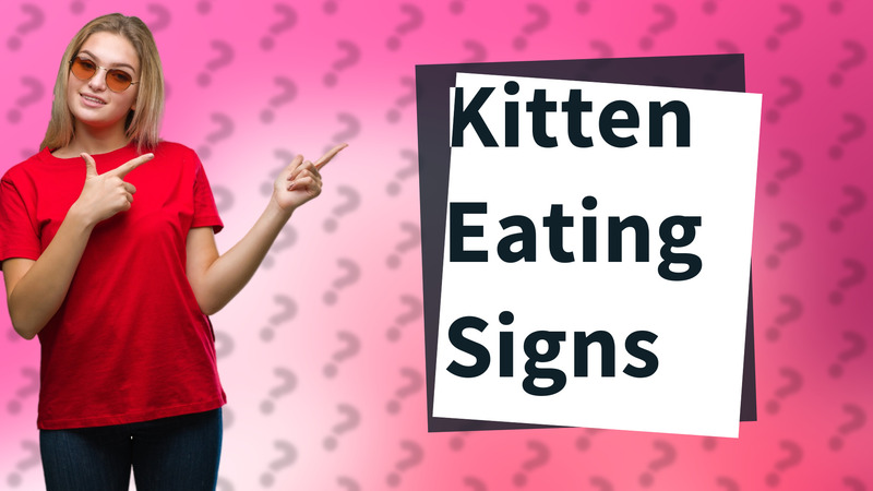 Kitten Eating Signs