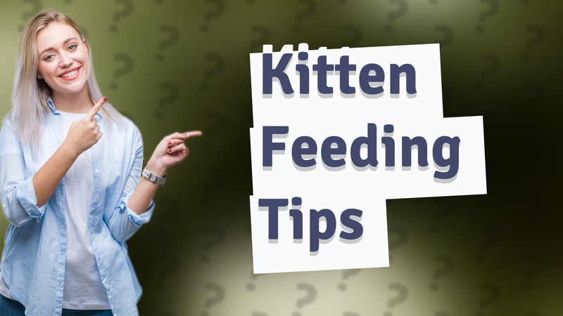 Kitten Feeding Tips
