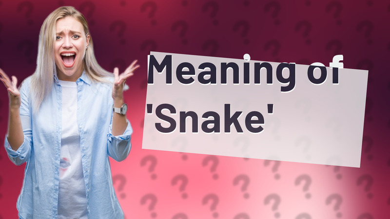 Meaning of 'Snake'