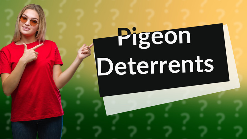 Pigeon Deterrents