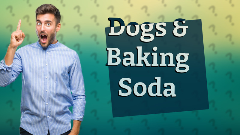 Dogs & Baking Soda