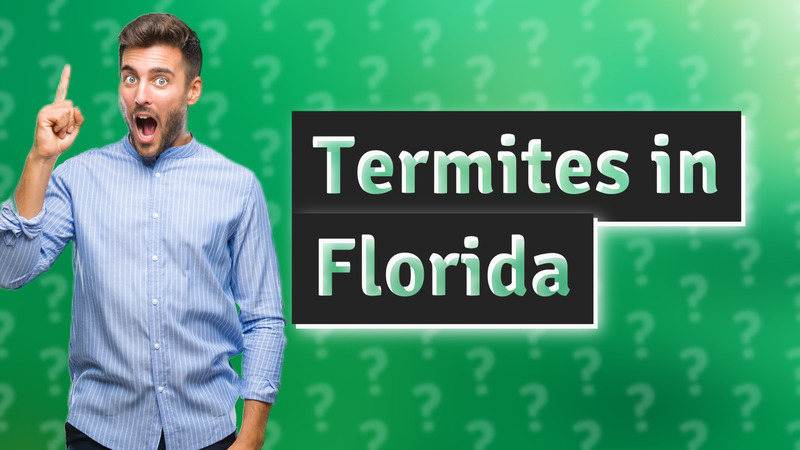 Termites in Florida