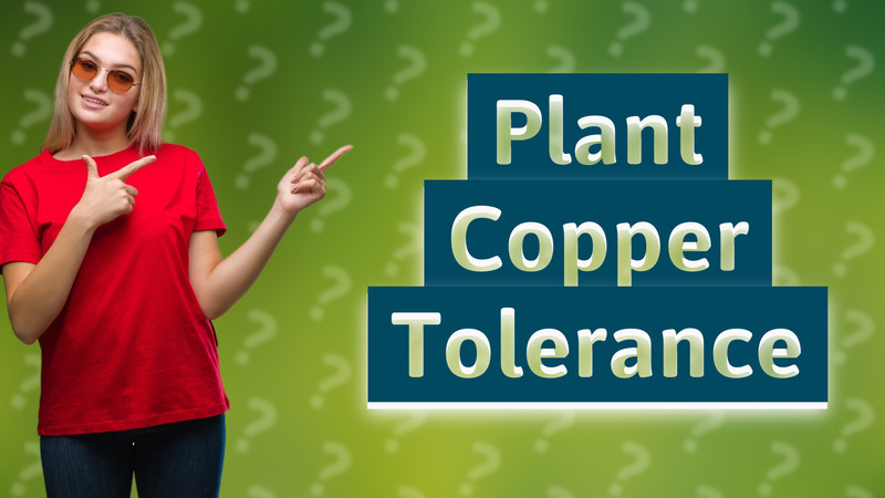 Plant Copper Tolerance