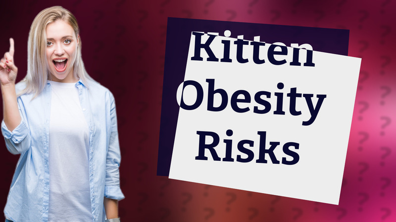Kitten Obesity Risks