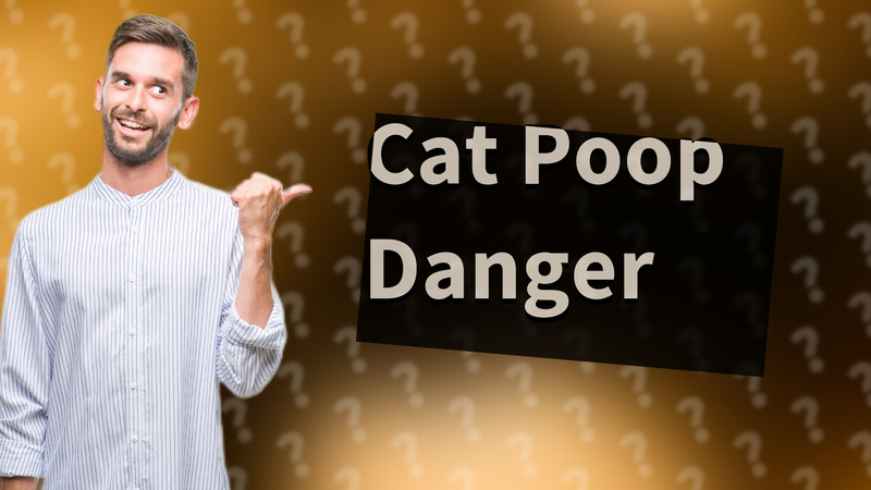 Cat Poop Danger