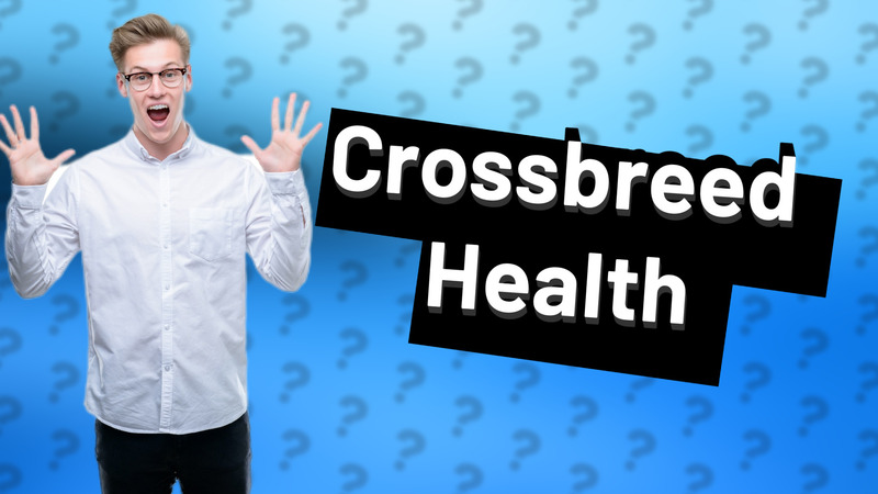Crossbreed Health