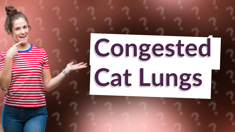 Congested Cat Lungs