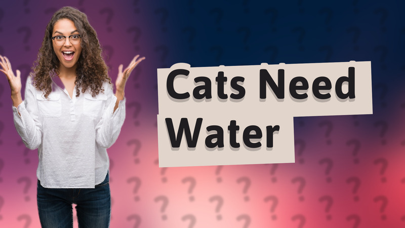 Cats Need Water