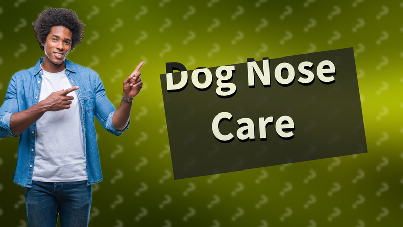 Dog Nose Care