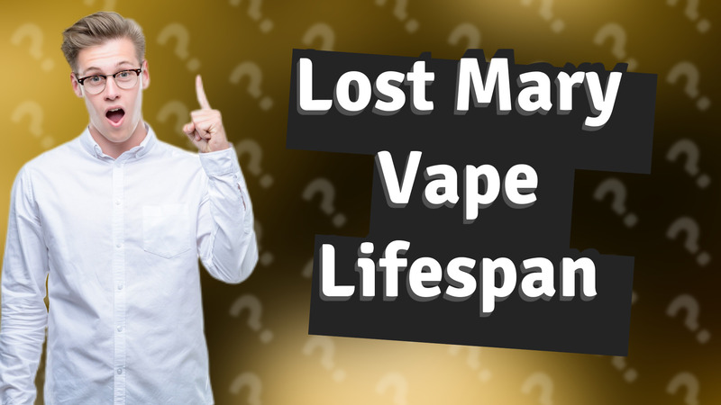 Lost Mary Vape Lifespan
