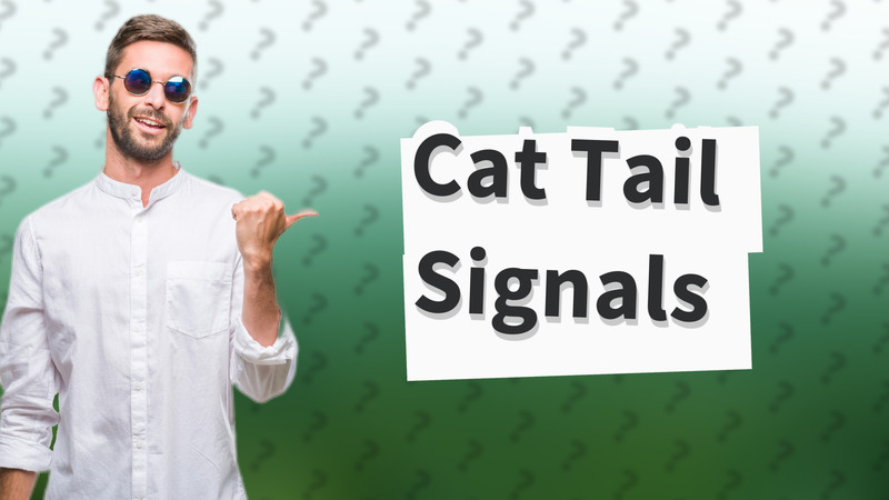 Cat Tail Signals