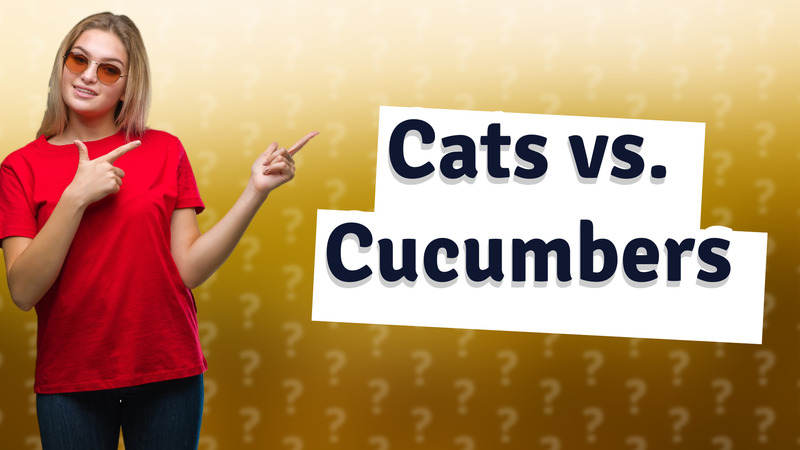 Cats vs. Cucumbers