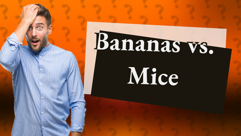 Bananas vs. Mice