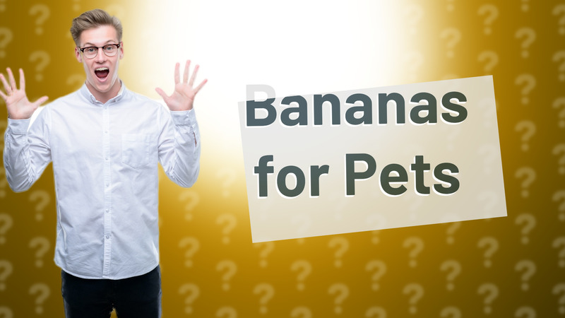 Bananas for Pets