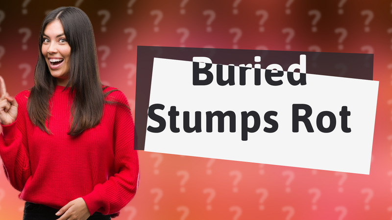 Buried Stumps Rot