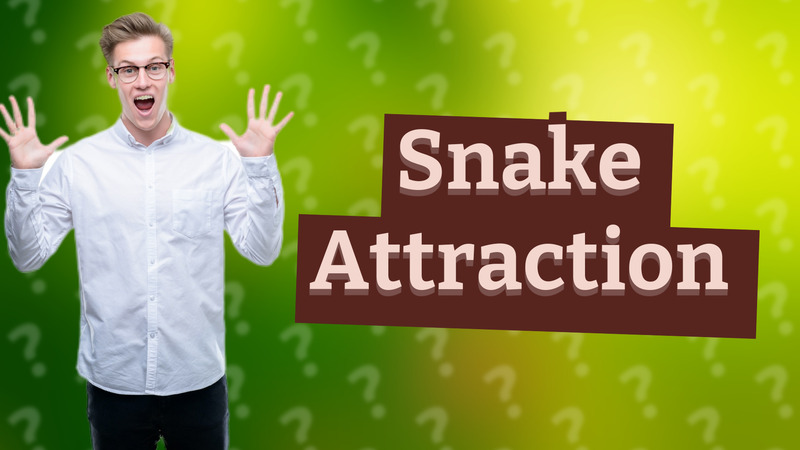Snake Attraction