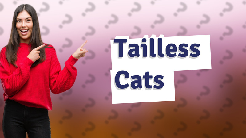 Tailless Cats