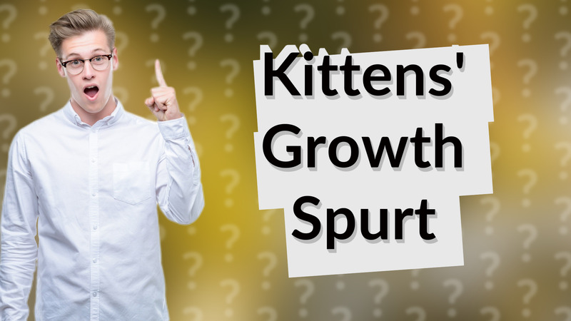 Kittens' Growth Spurt