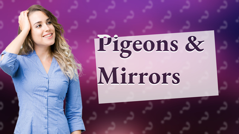 Pigeons & Mirrors