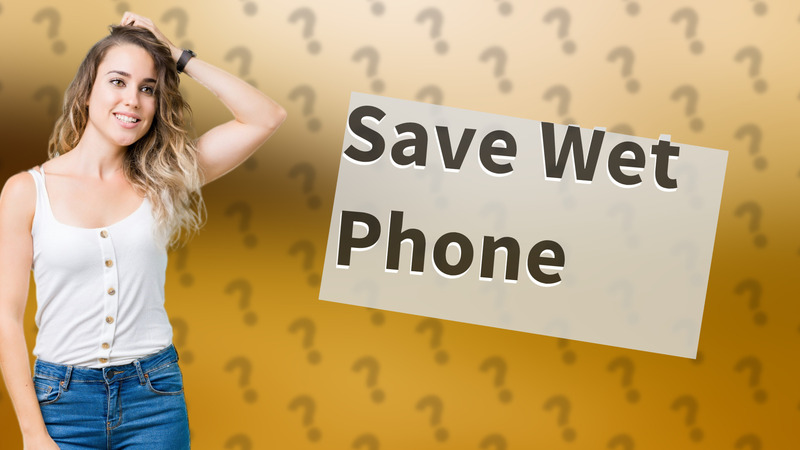 Save Wet Phone