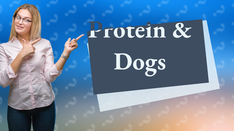 Protein & Dogs