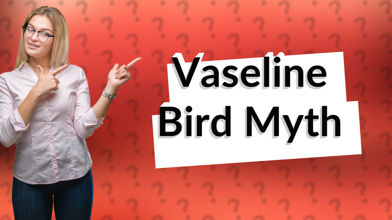 Vaseline Bird Myth
