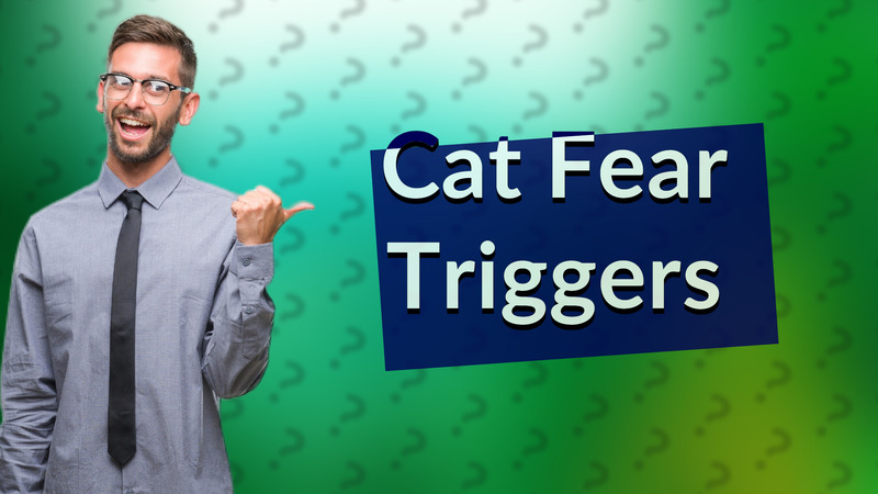 Cat Fear Triggers