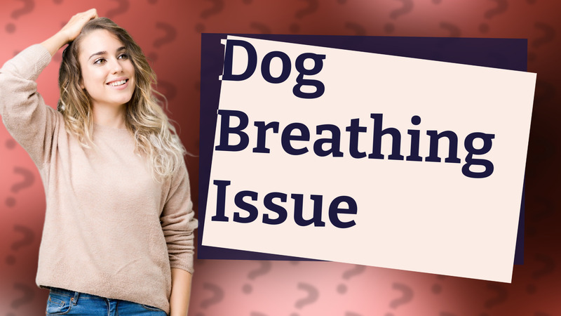 Dog Breathing Issue