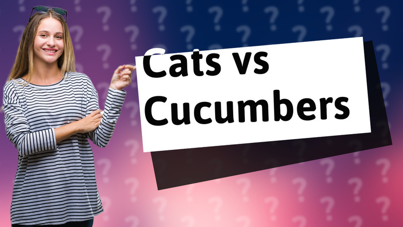Cats vs Cucumbers