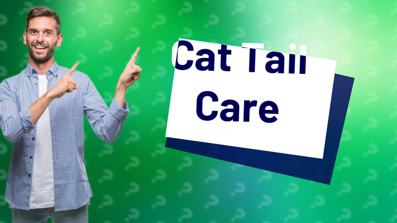Cat Tail Care