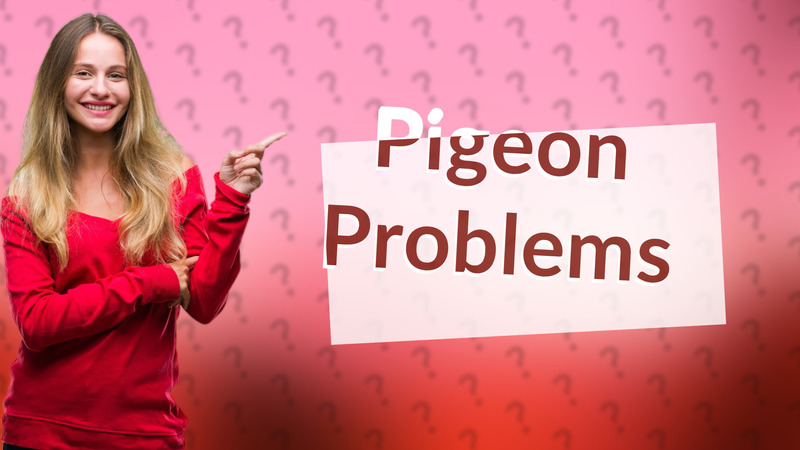 Pigeon Problems