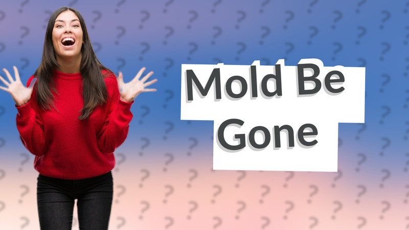 Mold Be Gone