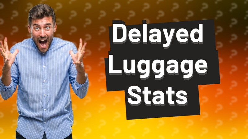 Delayed Luggage Stats