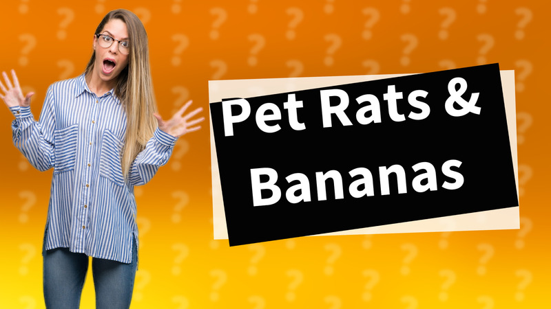 Pet Rats & Bananas