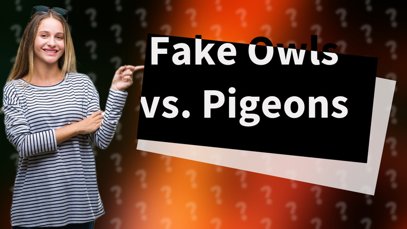Fake Owls vs. Pigeons