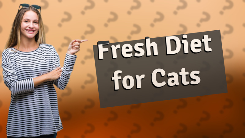 Fresh Diet for Cats