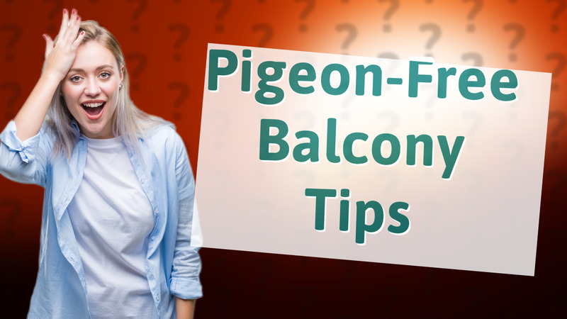 Pigeon-Free Balcony Tips
