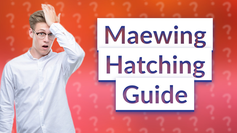 Maewing Hatching Guide