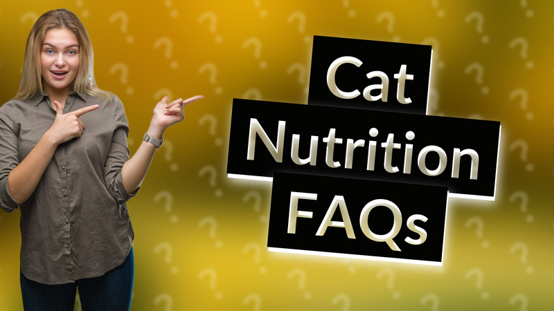 Cat Nutrition FAQs