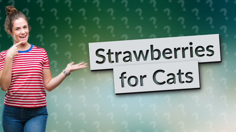 Strawberries for Cats