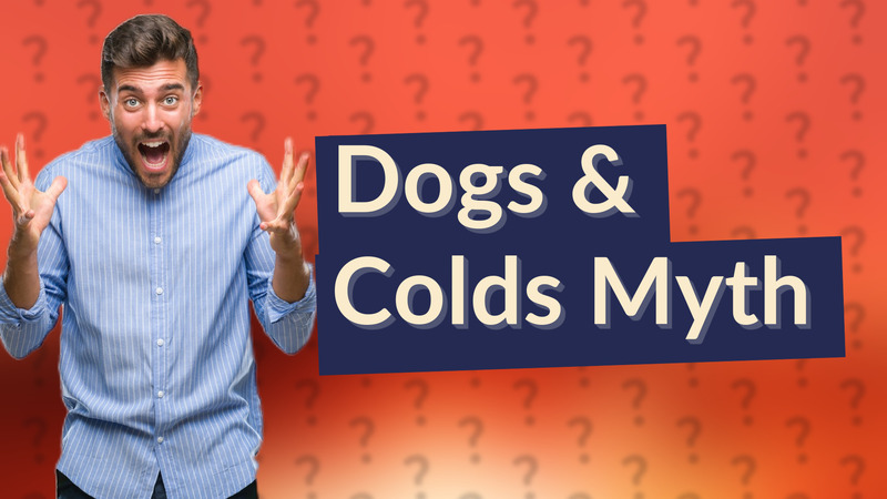 Dogs & Colds Myth